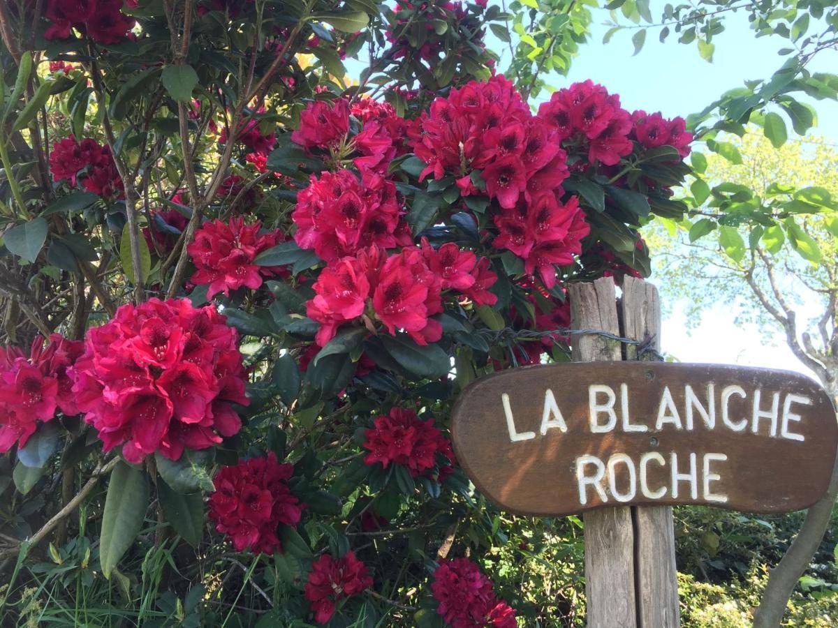 La Blanche Roche Bed & Breakfast Sourdeval Exterior foto